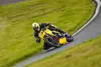 Advanced Group Yellow Bikes